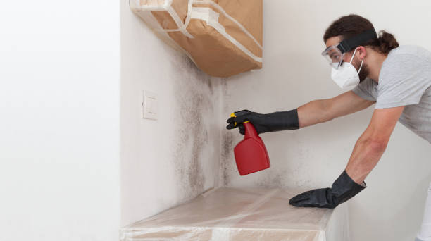 Professional Mold Removal technician working in Hudson, IL