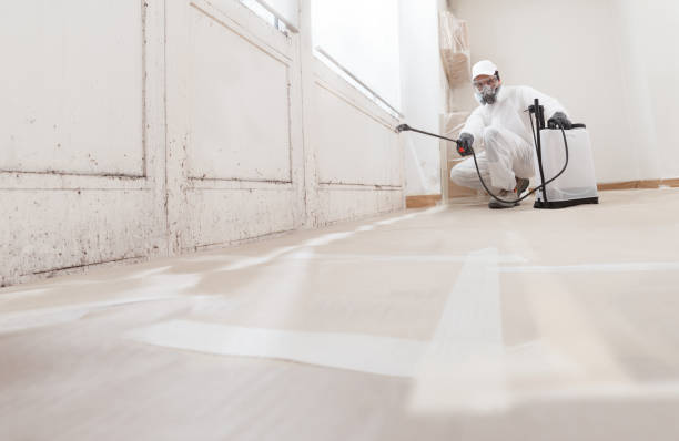 24/7 Emergency Mold Removal experts in Hudson, IL