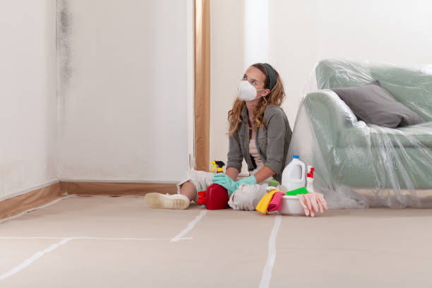 Reliable Mold Removal contractor in Hudson, IL by Mold Remediation HQ